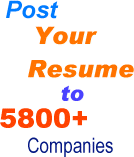 Send your Resume to 6000 Companies